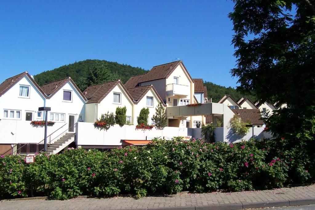 Gemutliche 93M2Fewo Mit 2 Schlafzimmern Und Seitlichem Seeblick Vom Balkon Scheid  Kültér fotó